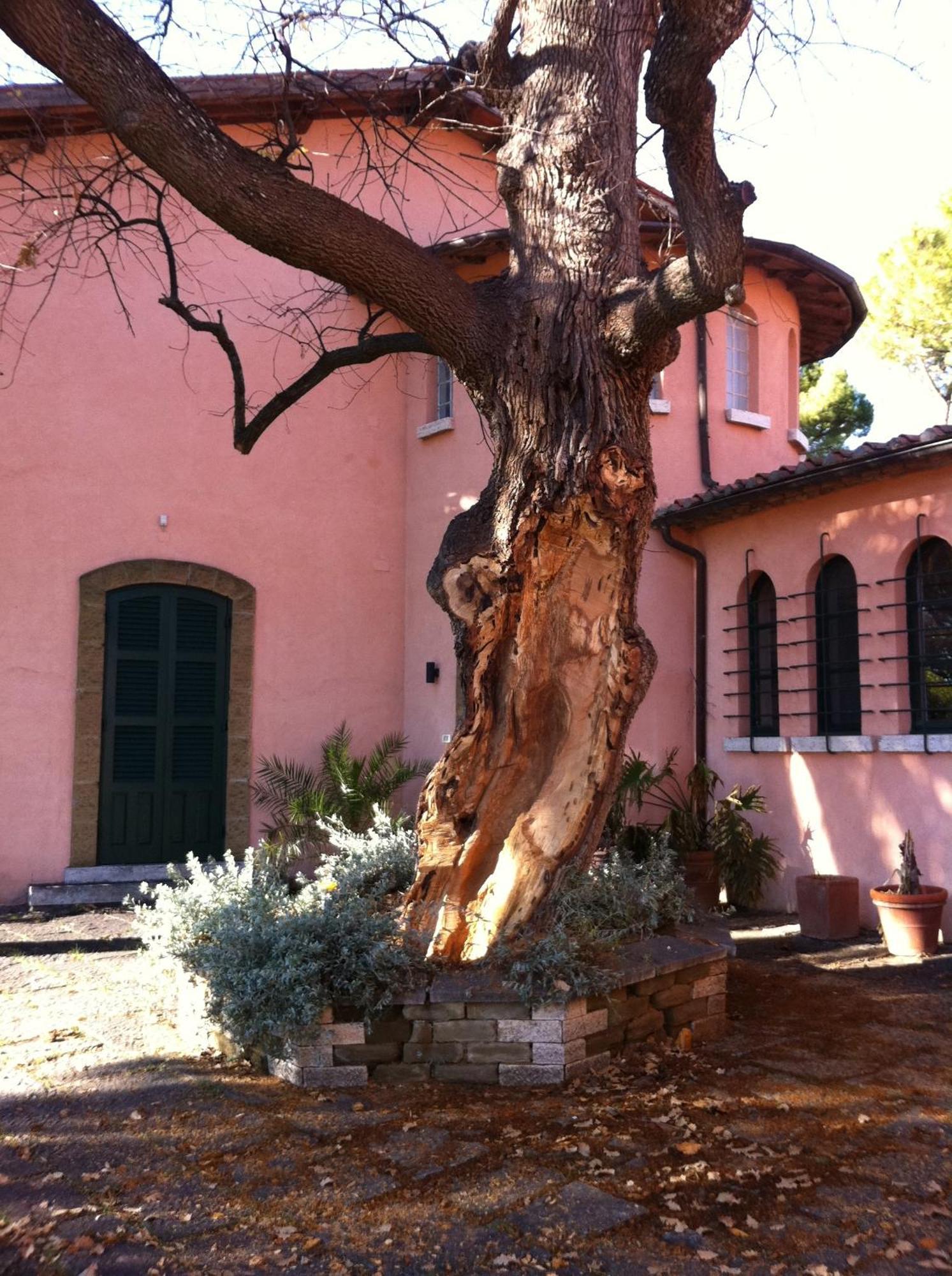 Villa Acquaviva Wine Resort 몬테메라노 외부 사진