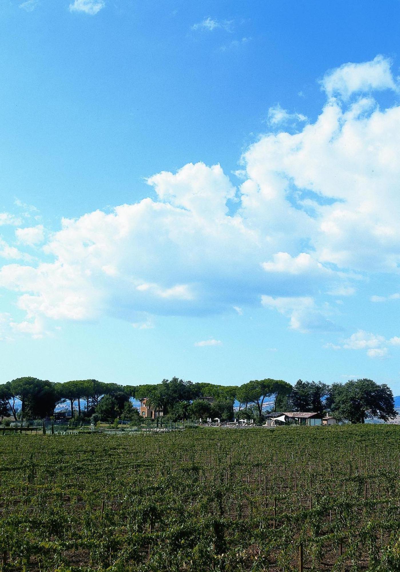 Villa Acquaviva Wine Resort 몬테메라노 외부 사진