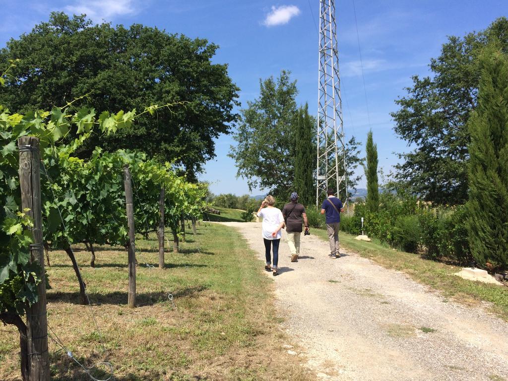 Villa Acquaviva Wine Resort 몬테메라노 외부 사진