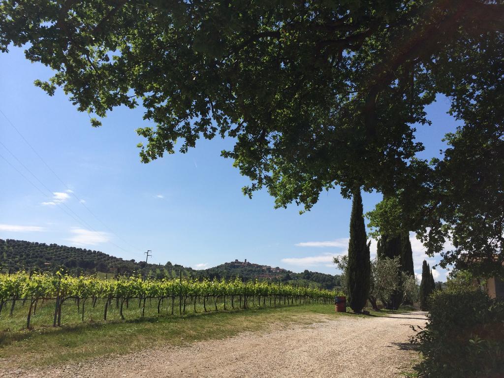 Villa Acquaviva Wine Resort 몬테메라노 외부 사진