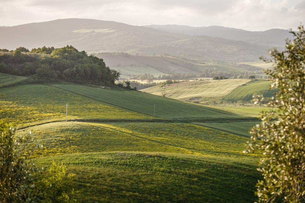 Villa Acquaviva Wine Resort 몬테메라노 외부 사진