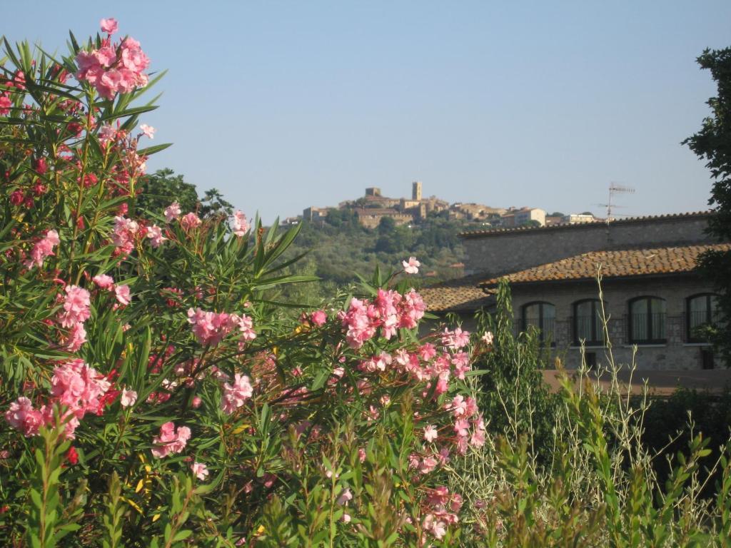 Villa Acquaviva Wine Resort 몬테메라노 외부 사진