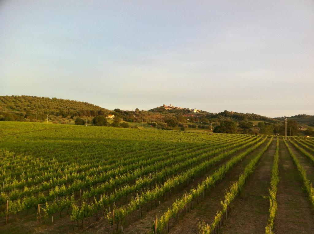 Villa Acquaviva Wine Resort 몬테메라노 외부 사진
